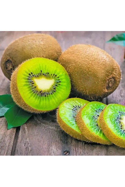 Ківі Закарпатський — самоплідний сорт для України